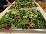 2017-01-21_HA-bittet-zu-Tisch_web04