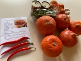 Station_Krbis_Salsa